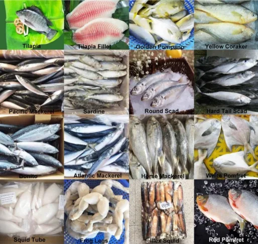 Anchovy Fish Meal (protein 55% 65% 72%) for Tilapia Sea Fish Meal Feed Additives for Sales with High Quality