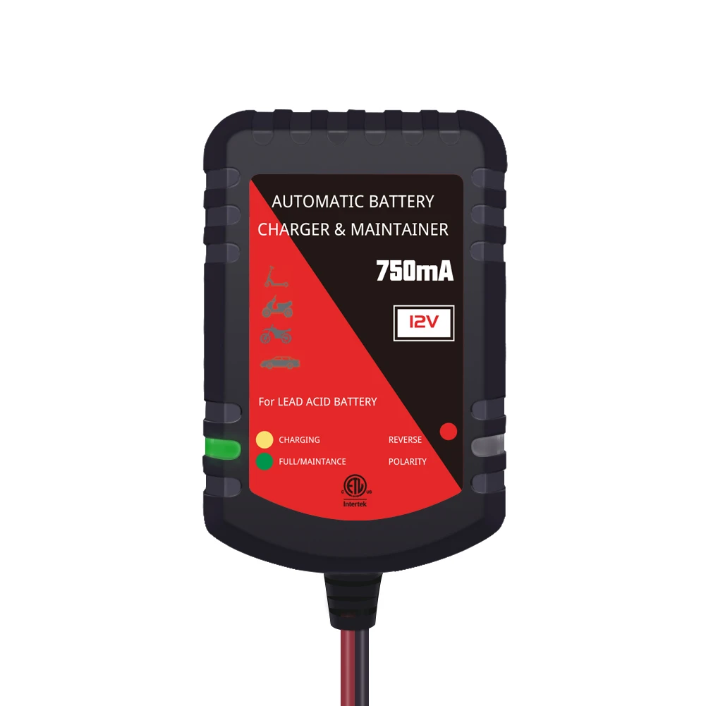 2021 Desulfator Maintainer Automatic 12V Battery Charger