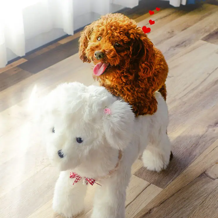 2023 New Arrival Dog Sex Toy E-co Friendly Interactive Cartoon Animal Pet Sex Toy for Dog