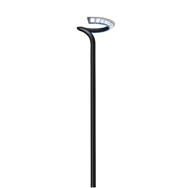 40W LED Park Garden Lighting Pole Light