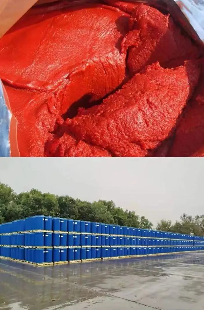 Wholesale Tomato Paste Price Tomato paste in drum Good Quality Bucket of tomato sauce 245 kg per barrel