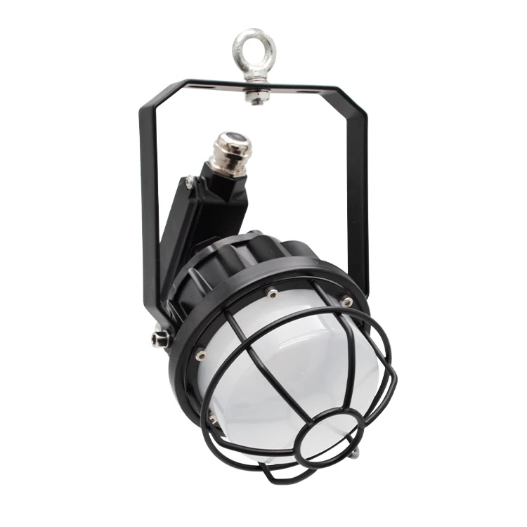 Energy Saving Explosion Proof Lamp Ip65 Gas Station Lighting 10w 300w 50w Led Explosion Proof Light