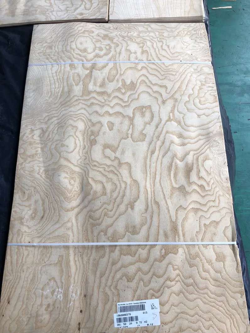 New Arrival Natural Ash Burl Veneers Sheet Veneer Wood AA Natural White Ash Burl Wood Veneers Flooring Furniture