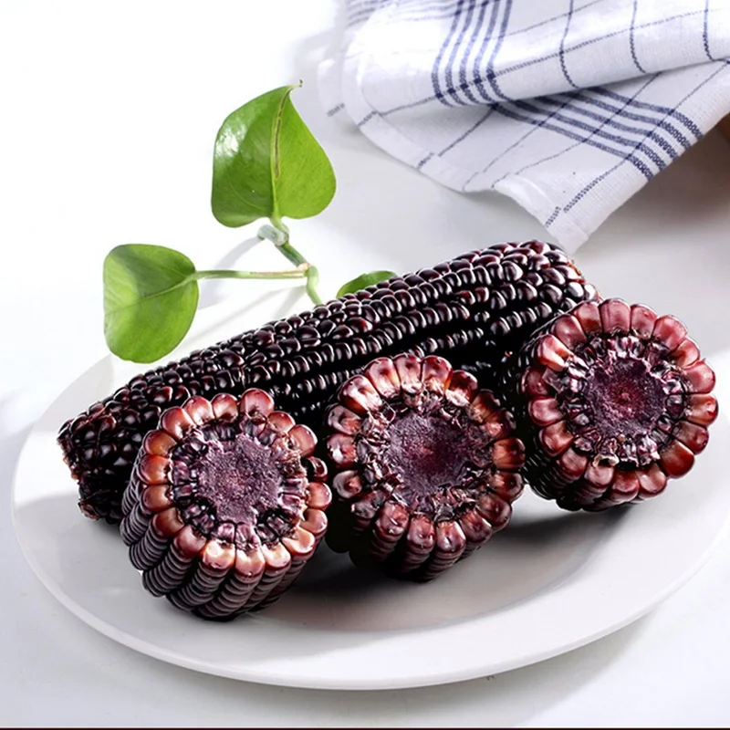 Fresh purple corn sweet corn buyer