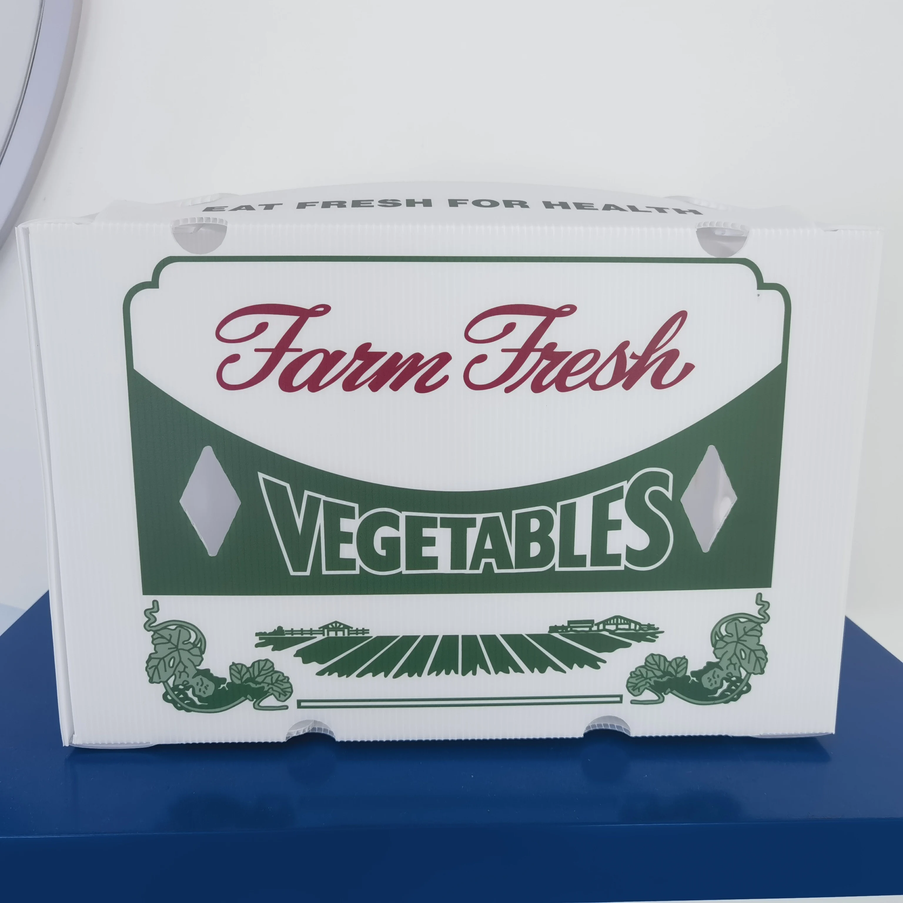 Vietnam/China Factory Corrugated Coroplast PP Waterproof Plastic Seafood Packaging Box