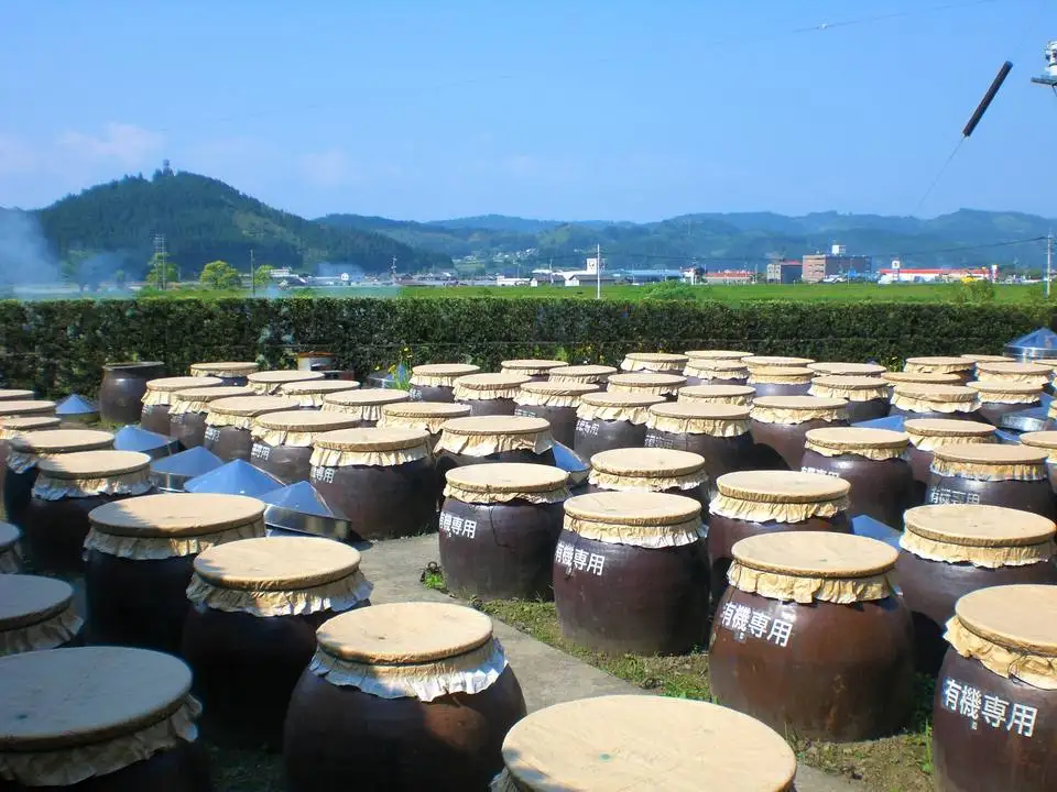 Bottle packaging yellow liquid nutritional raw black vinegar for sale