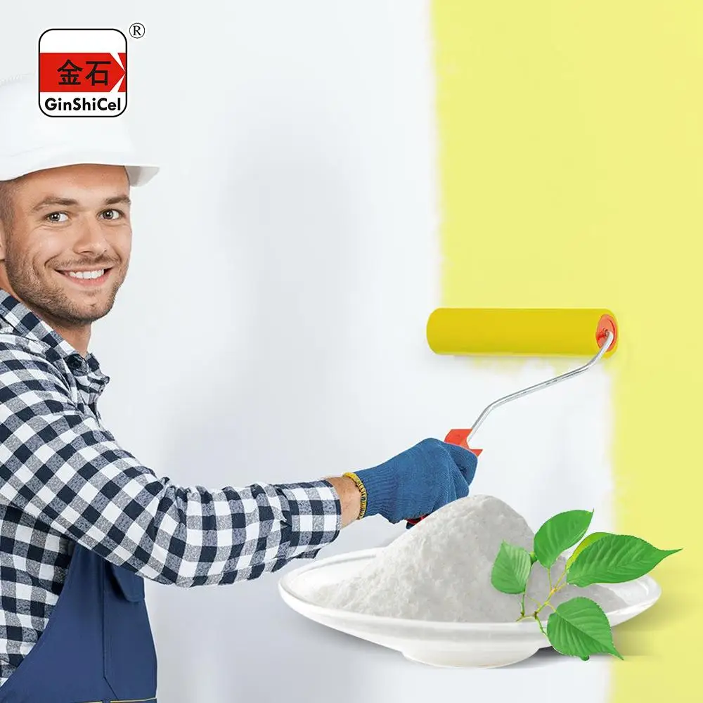 HPMC Hydroxypropyl Methyl Cellulose CAS No. 9004-65-3