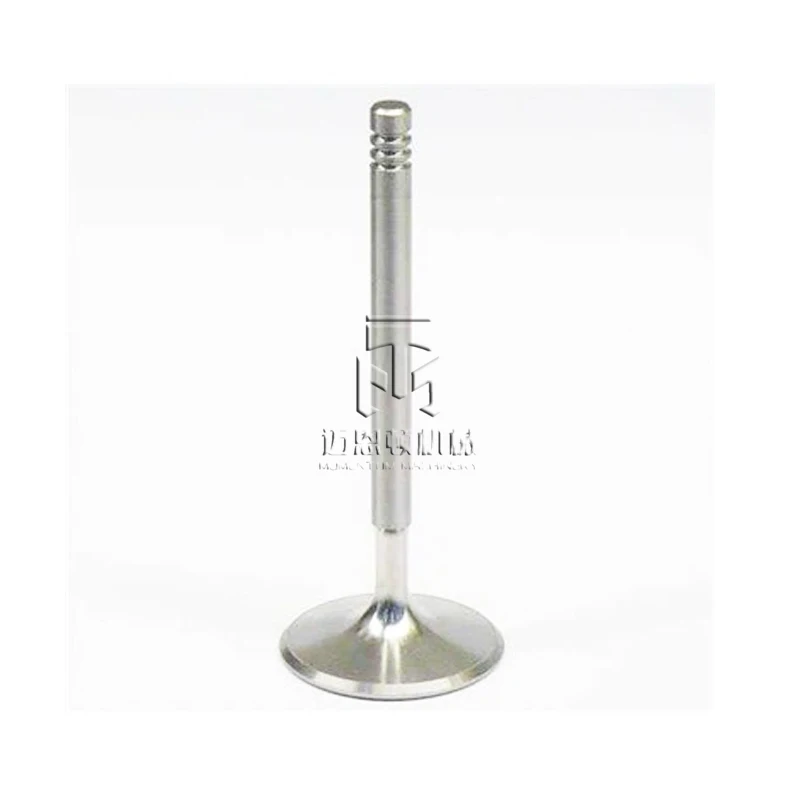 Intake Valve 04250137 04254232 04283378  for  TCD2013