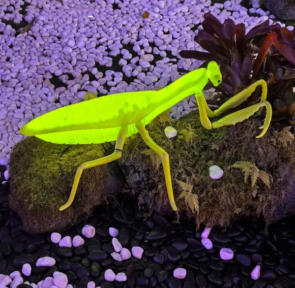waterproof halloween christmas decoration 12v led giant mantis garden light home for midsummer