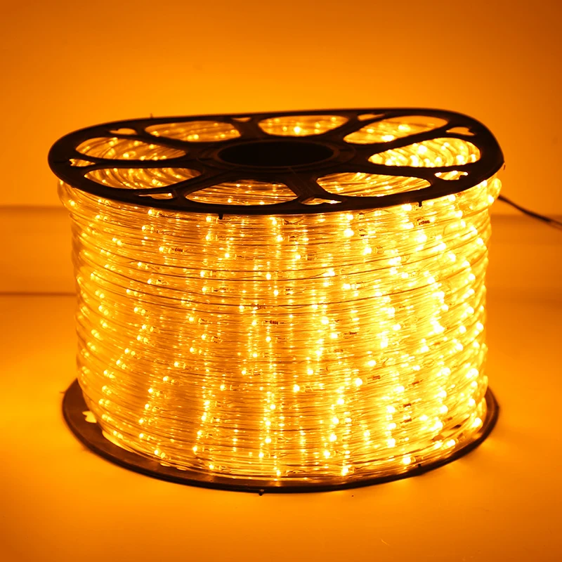 
led Christmas rope lights waterproof 100m 220V/110V dmx rgb led rope light for outdoor decoration 