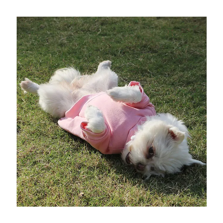 Wholesale Blank Dog Sweater Bulk Puppy Fleece Plain Pet Hoodies Large Dog Hoodie 6XL Custom Dog Hoody