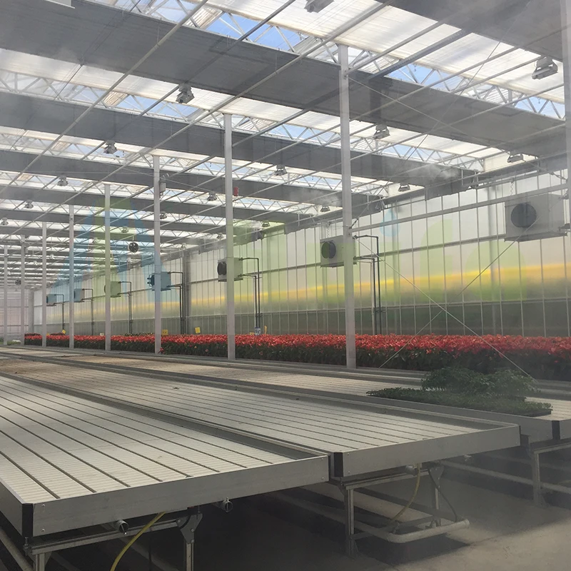 Huifa Commercial Greenhouse Flood Tables Single Tier Grow Rolling Bench Flood And Drain Table