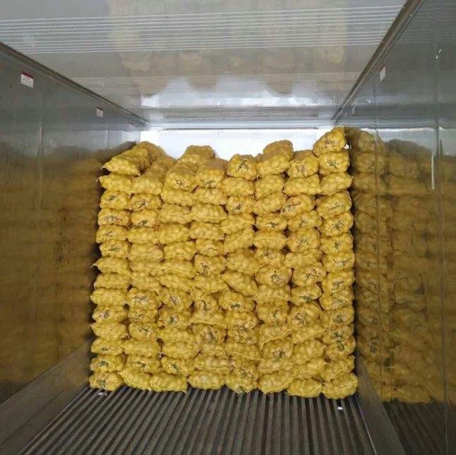 New crop fresh potato 80/150g China hot sale Holland potato export