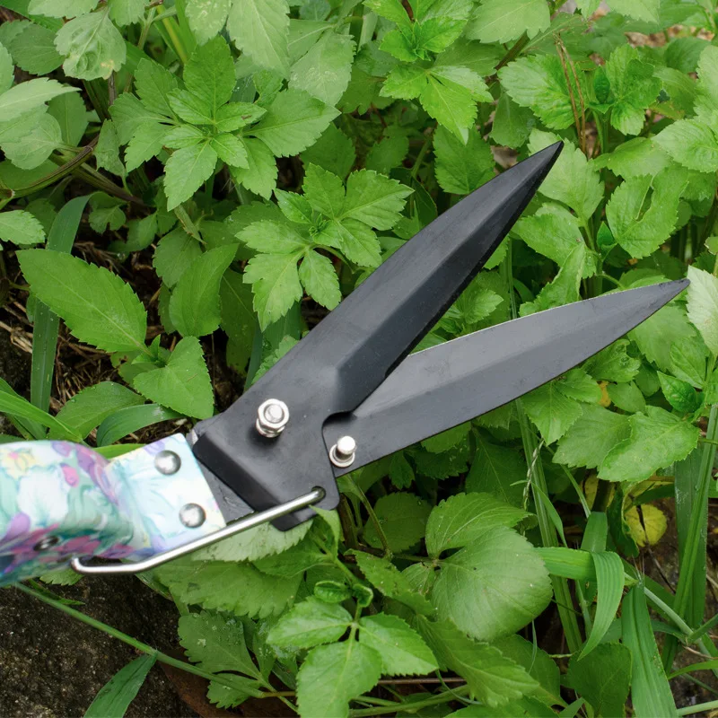 Stainless Steel Gardening Tools Set for Planting Potted Plants Pruning Weeding Spraying OEM Customizable Support