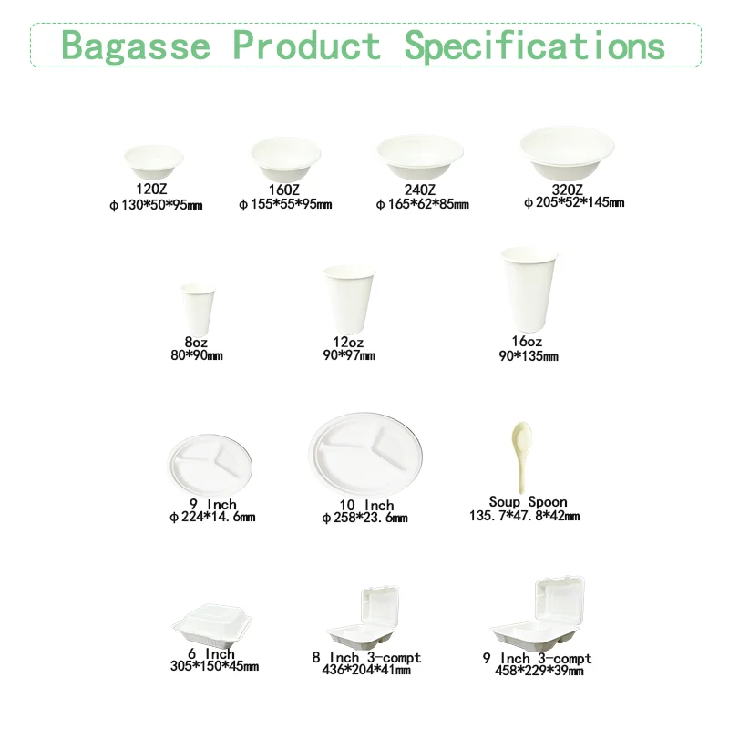 Ok Compost coffe cup Disposable Sugarcane Cup with 6OZ 8OZ 12OZ 16OZ Bagasse Pulp Biodegradable Hot Drink Cup with 80mm 90mm Lid