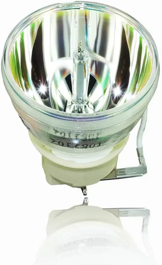 Professional RLC-117 / RLC117 Replacement Projector Lamp Bulb with Housing Compatible with Viewsonic PG705HD PG705WU PX727-4K