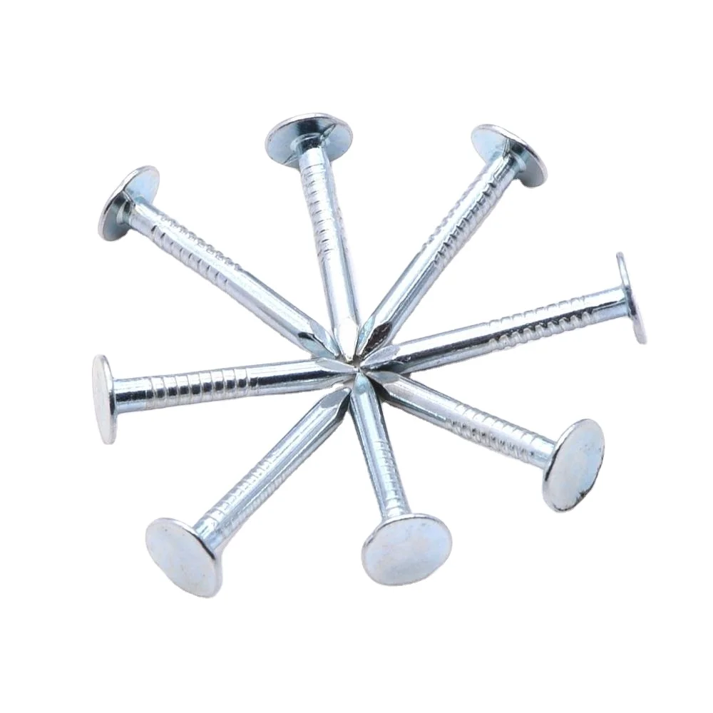 Factory Wholesale Iron Nail with Big Head Professional Production Line Clout Nail