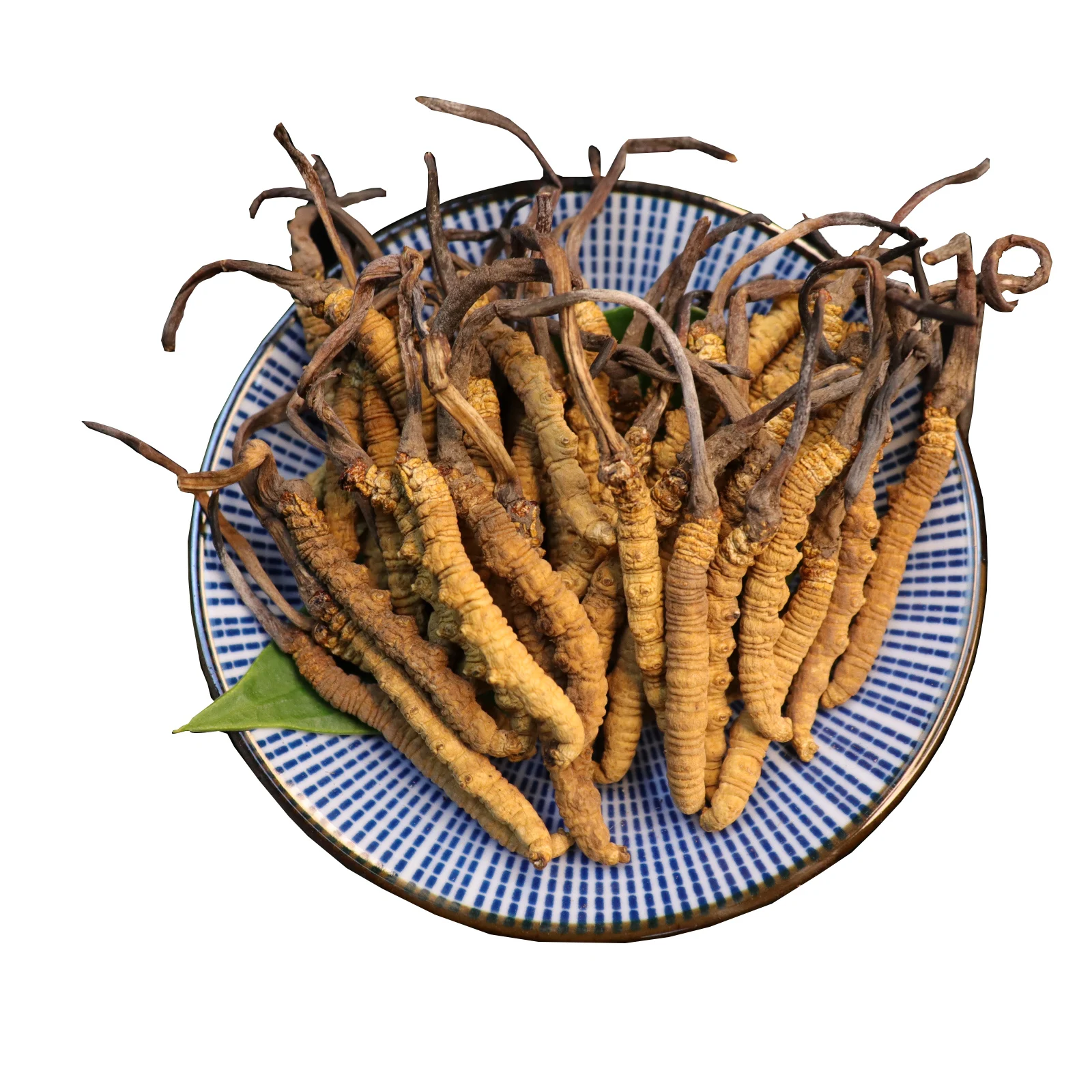 wholesale whole wild plant cordyceps mushroom Dried natural cordyceps sinensis mycelium