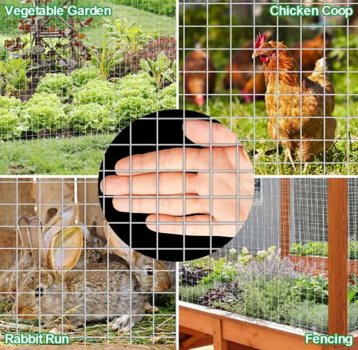 Galvanized PVC Coating Welded Wire Mesh Rolls corrosion-proof road fence protecting the garden or commercial property