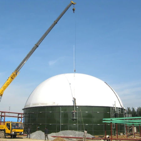 ZHAOYANG GFS tank with biogas double membrane gas holder used for biogas digester project for sale