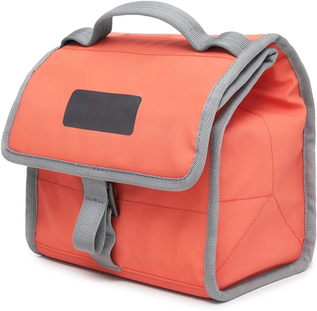 Insulated Small Cooler Bag for Travel | Soft Collapsible Cooler Bag for Family Camping, Beach | Large Leakproof Lunch Bag Box