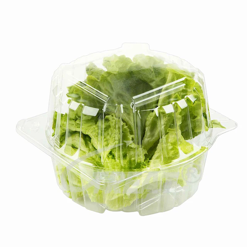 Disposable Fruit Vegetable Tray Transparent PET Plastic Punnets Disposable Plastic Container for Fruit & Vegetables use