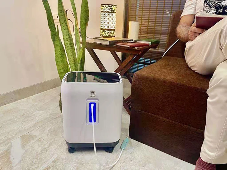 Cheap 2-10L Oxygen-concentrator Lowest Noise Hd Led Display High Purity Home Oxygen Concentrator Prices With Nebulizer