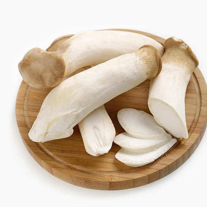 Food grade ISO and HACCP bulk mushroom of king oyster mushroom