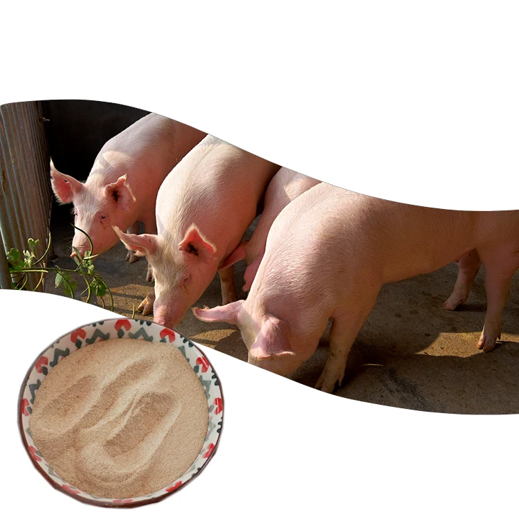 Hot sale,Improve the sow productivity, feed grade composite enzyme no antibiotics