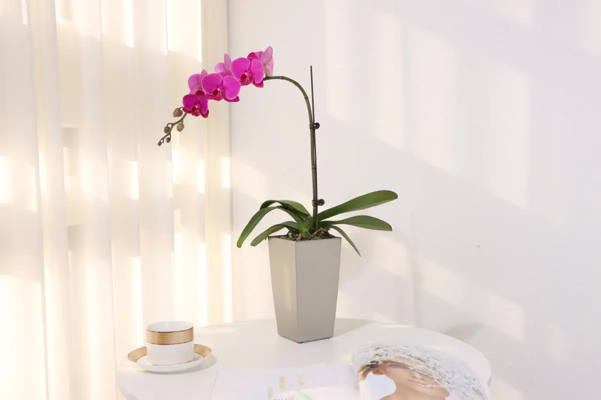 Leizisure Designed Self-Watering Flower Pots Indoor Plant Pot Macetas with Water Indicator for Home Decoration on Floor Desktop