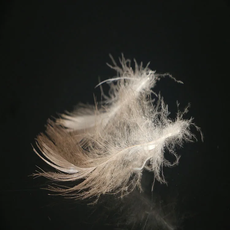 
professional manufacturer down feather filling 4-6cm grey washed goose down feather for mattress 