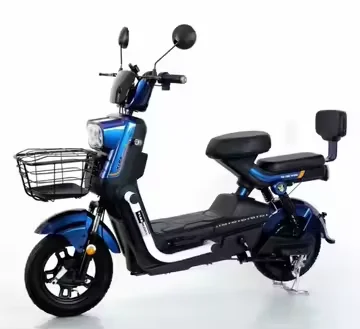 The Man Electric Scooter 500W Motor 48V20A Lead-acid Battery