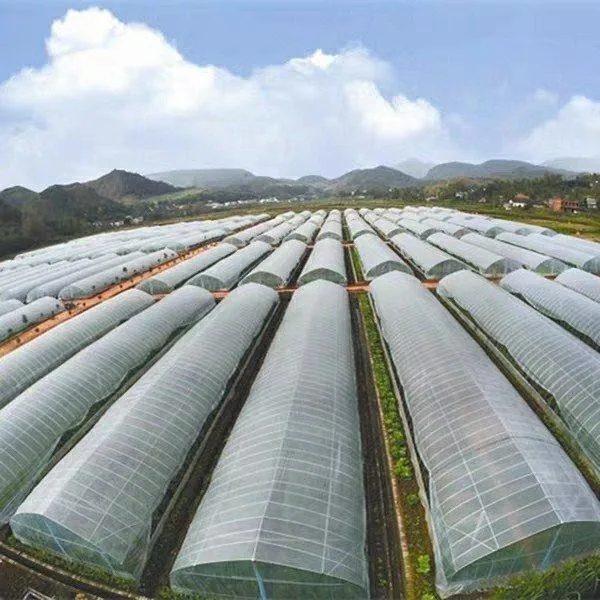 Single-Span Arch Type Tunnel Greenhouse with Fog Sprayer for Fruit or Leafy Vegetables/Seed Breeding