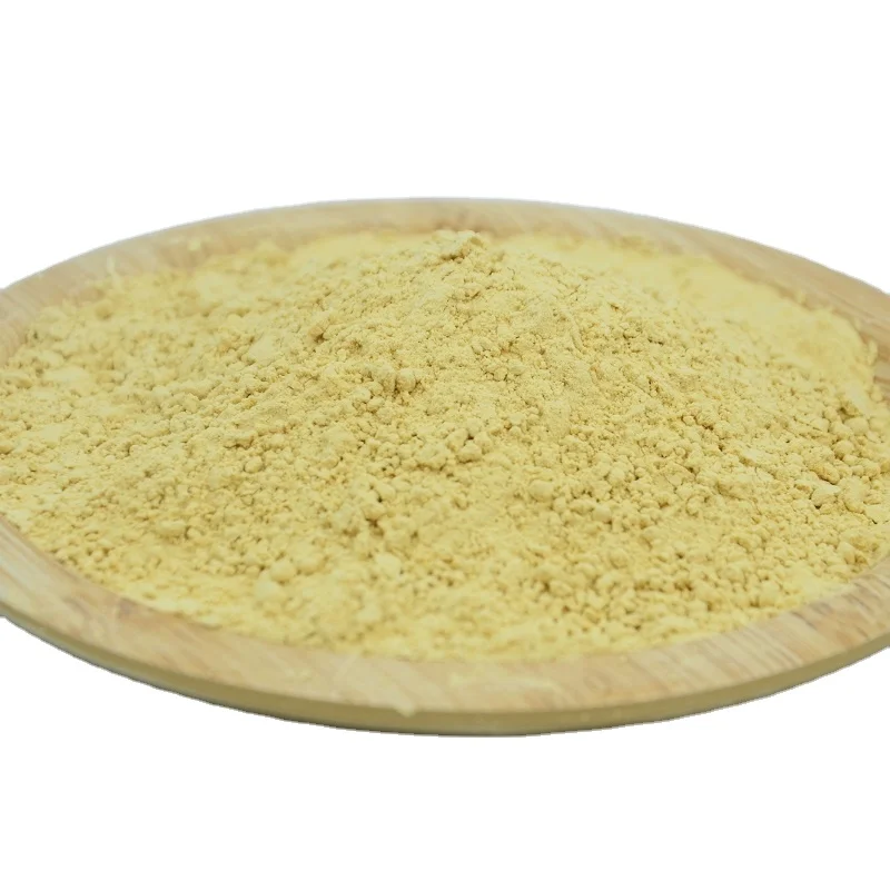 Manufacturer Provides Healthy And Best-Selling Organic Ginger Powder With Ginger Extract