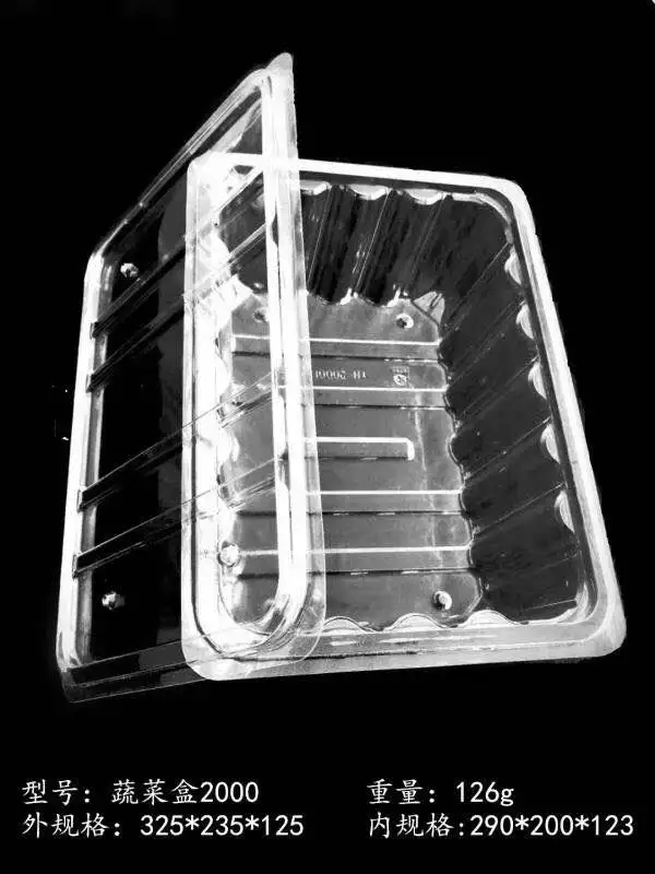 Full  Servo Motor  Automatic Plastic Products for Food Packing Thermoforming machine