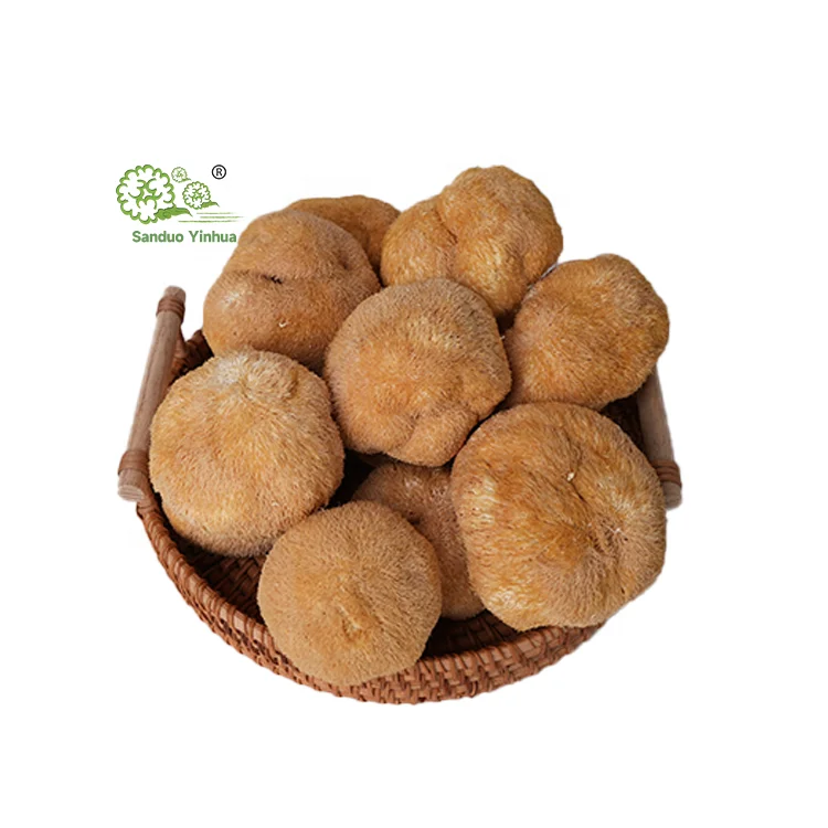 Оптовая продажа сушеные Львиная Грива