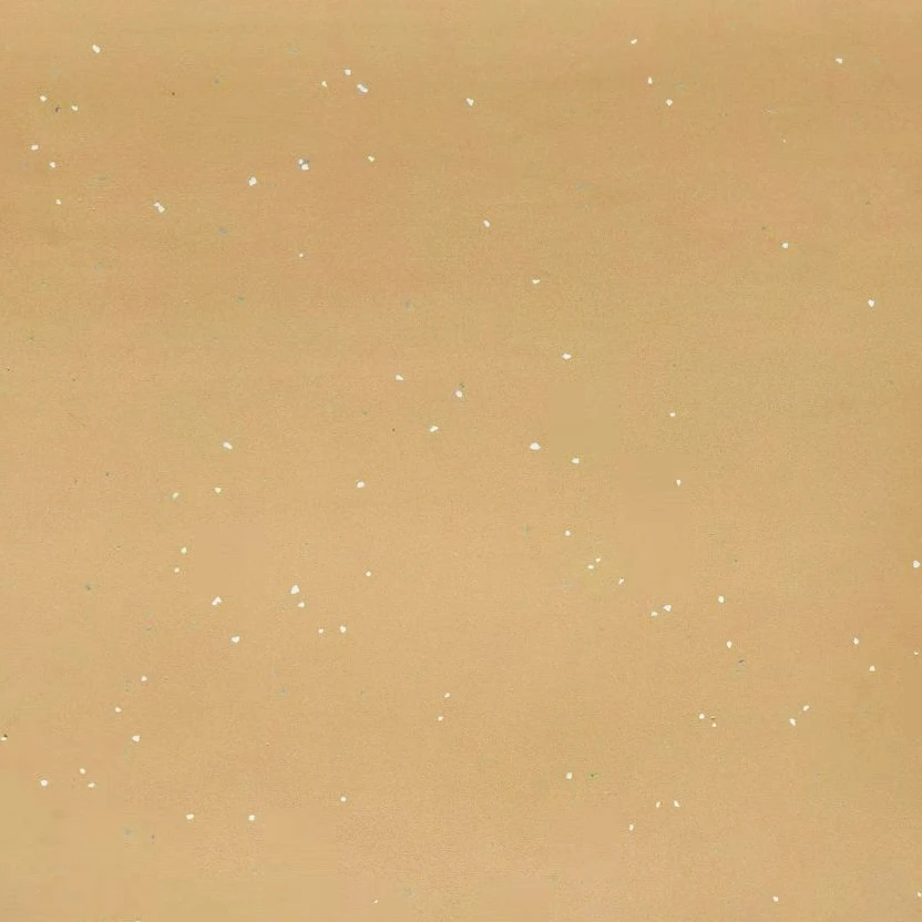 New  Arrival  Fashion  Pattern   High  Quality  Quartz  Floor     60*60cm  Size   Uv Coating