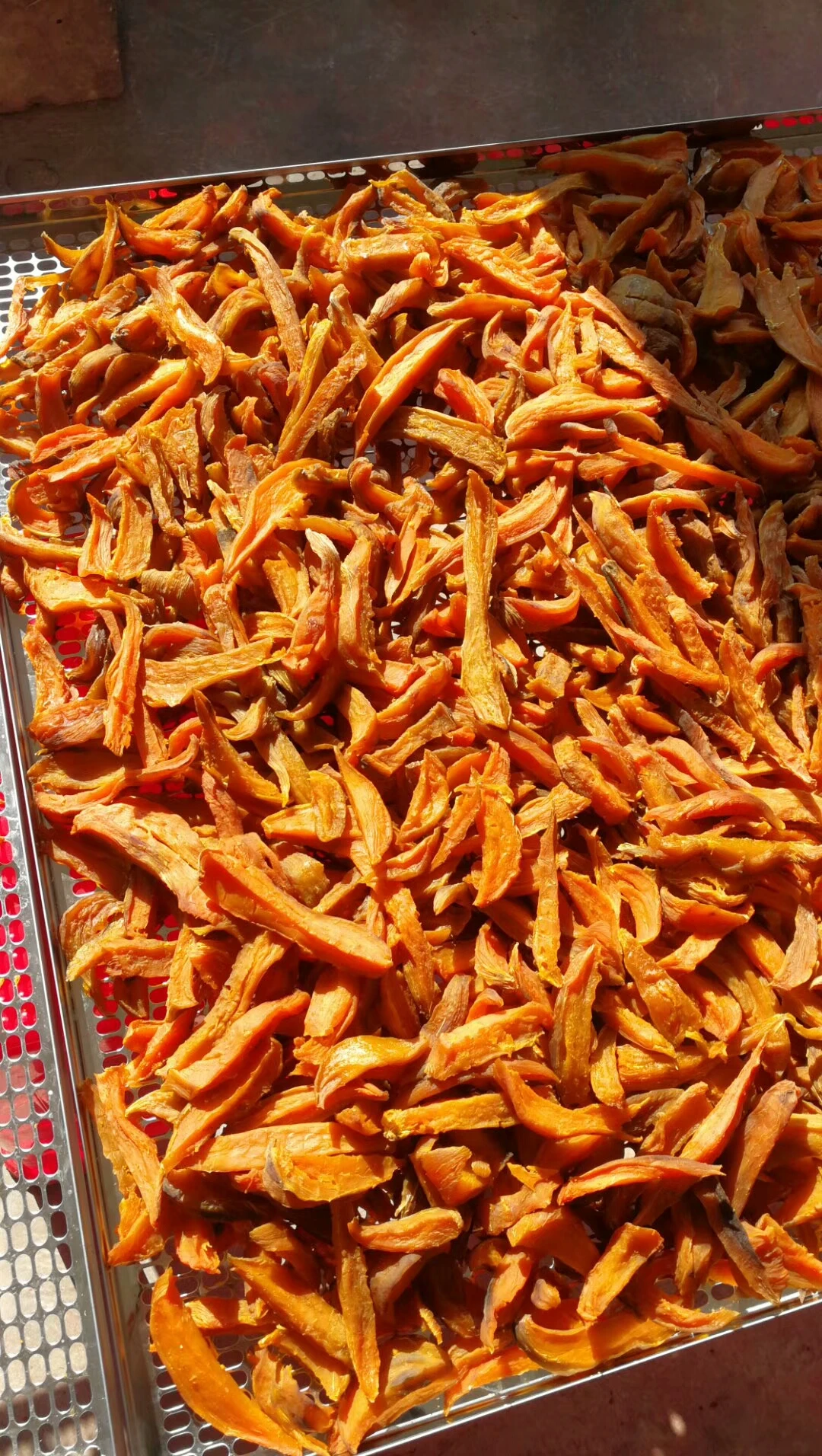 AIM Energy Saving Heat Pump SS 304 Tray Type Red Dates Black Currant  Raspberry Loquat Dryer Drying Machine Equipment Dehydrator