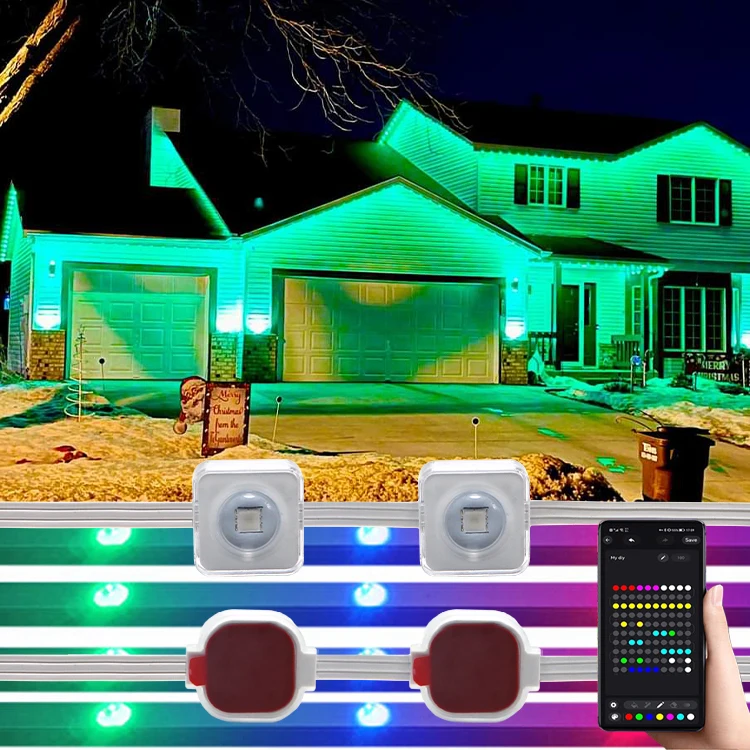 Gov Ee Dc36V Led Point Light Rgbic Rgbw Led Pixel Christmas Permanent Outdoor Light Luces Para Exteriores De Casa De Navidad