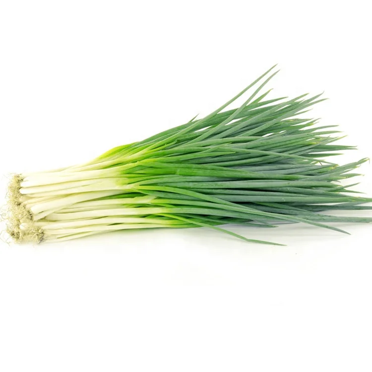
2021 Bulk Chive Seeds green onion Seeds Vegetable seeds Bag/100g 