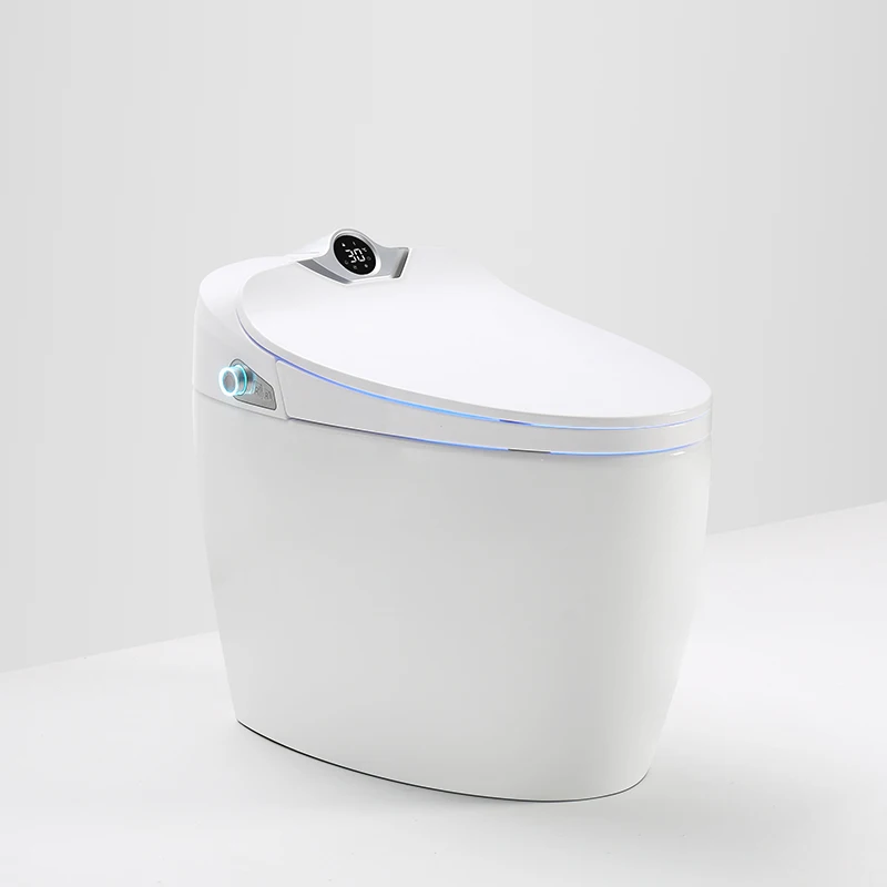 North america modern design one piece toilet bowl siphonic flushing bathroom wc ceramic automatic smart toilet