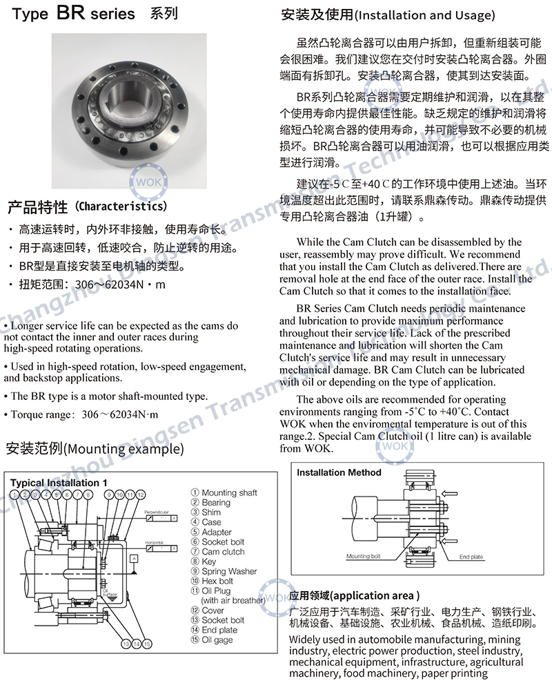 BR Series BR70 200 r/min One Way Bearing with Keyway Sprag Freewheel Backstop Clutch Bearing For food machinery