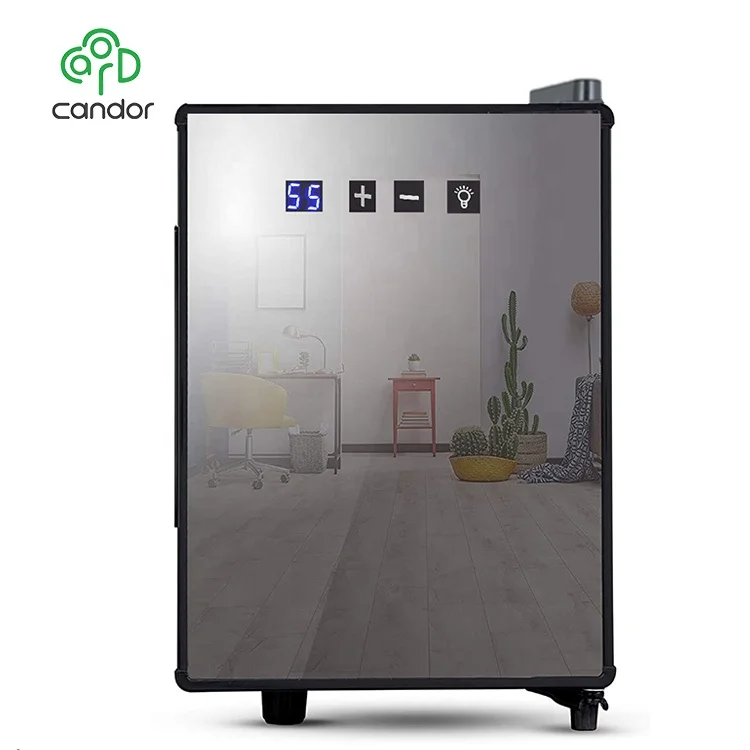 OEM custom foaming door design thermoelectric peltier wine fridge wine cooler 6 bottles manufacturers