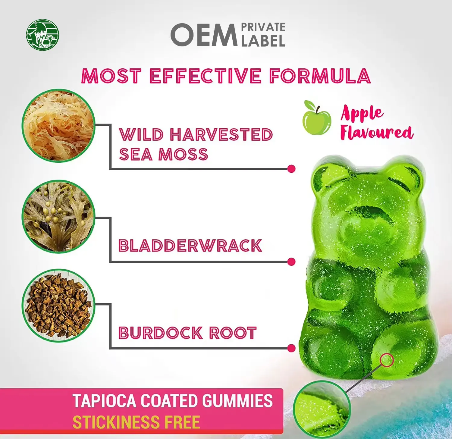 OEM  Irish Seaweed  with Black Seed Oil Immune System Seaweed Gummies Moss  Sugar Free