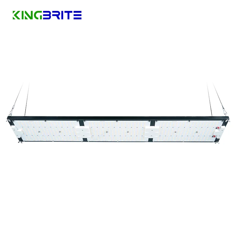  Король brite 2021 новейший водонепроницаемый led grow light 320W LM301H CREE XP-E2 660NM с УФ-фильтром IR