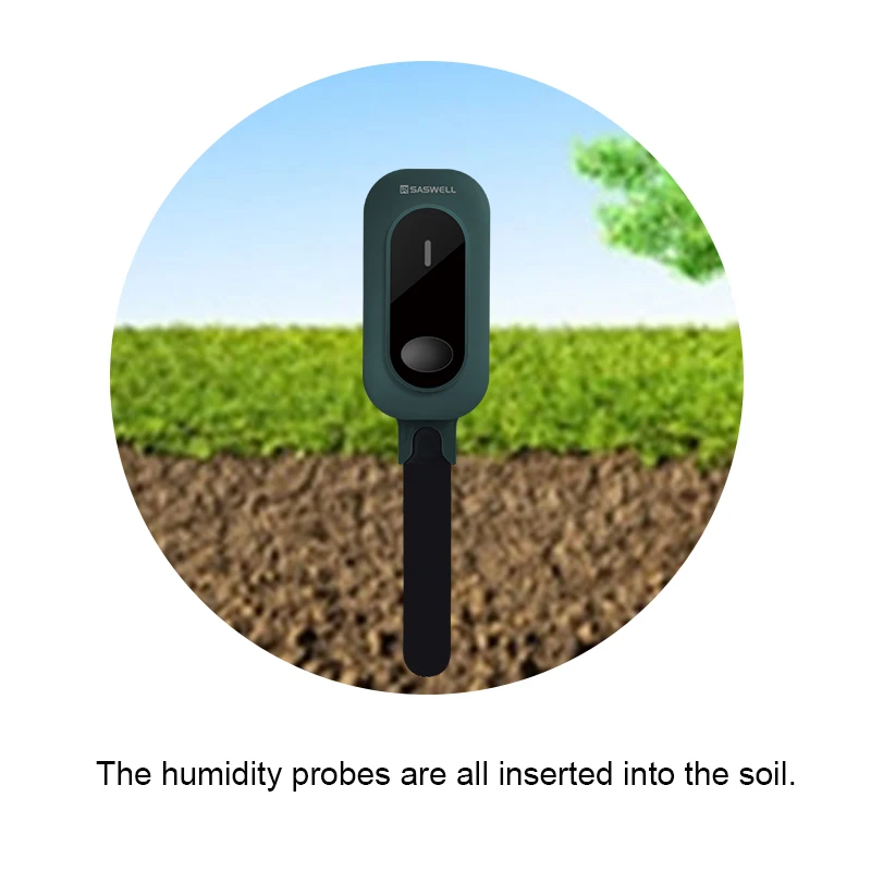 SASWELL smart soil sensor with Tuya Zigbee connection testing soil moisture