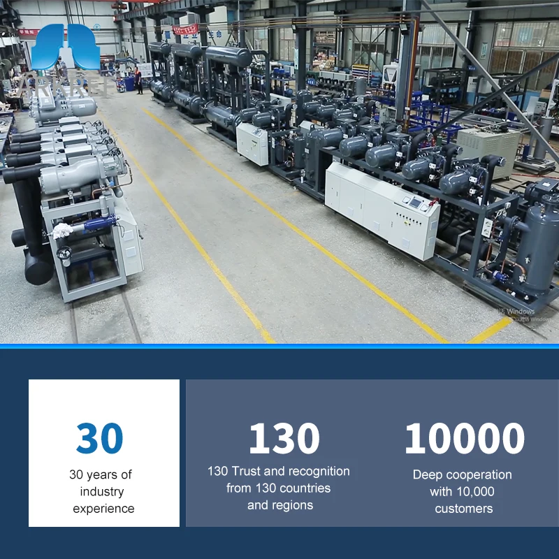 ARKREF Bitzer Screw Parallel Compressor Unit Compact Refrigeration Unit