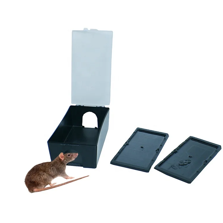 BSTW Best pest control design: bait rat trap bait trap