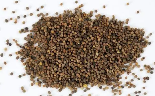  Высококачественный экстракт семян корма 10:1 порошок 1 кг Цена