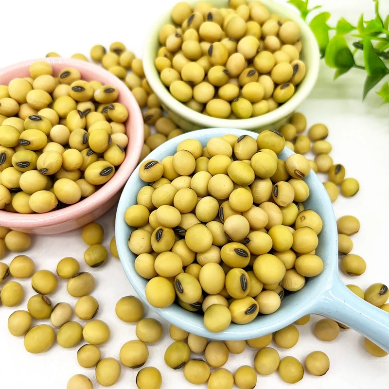 Non-GMO High Grade Good Quality Soy Beans Raw Soybean Grain Organic Bulk Soybean Seeds For Food